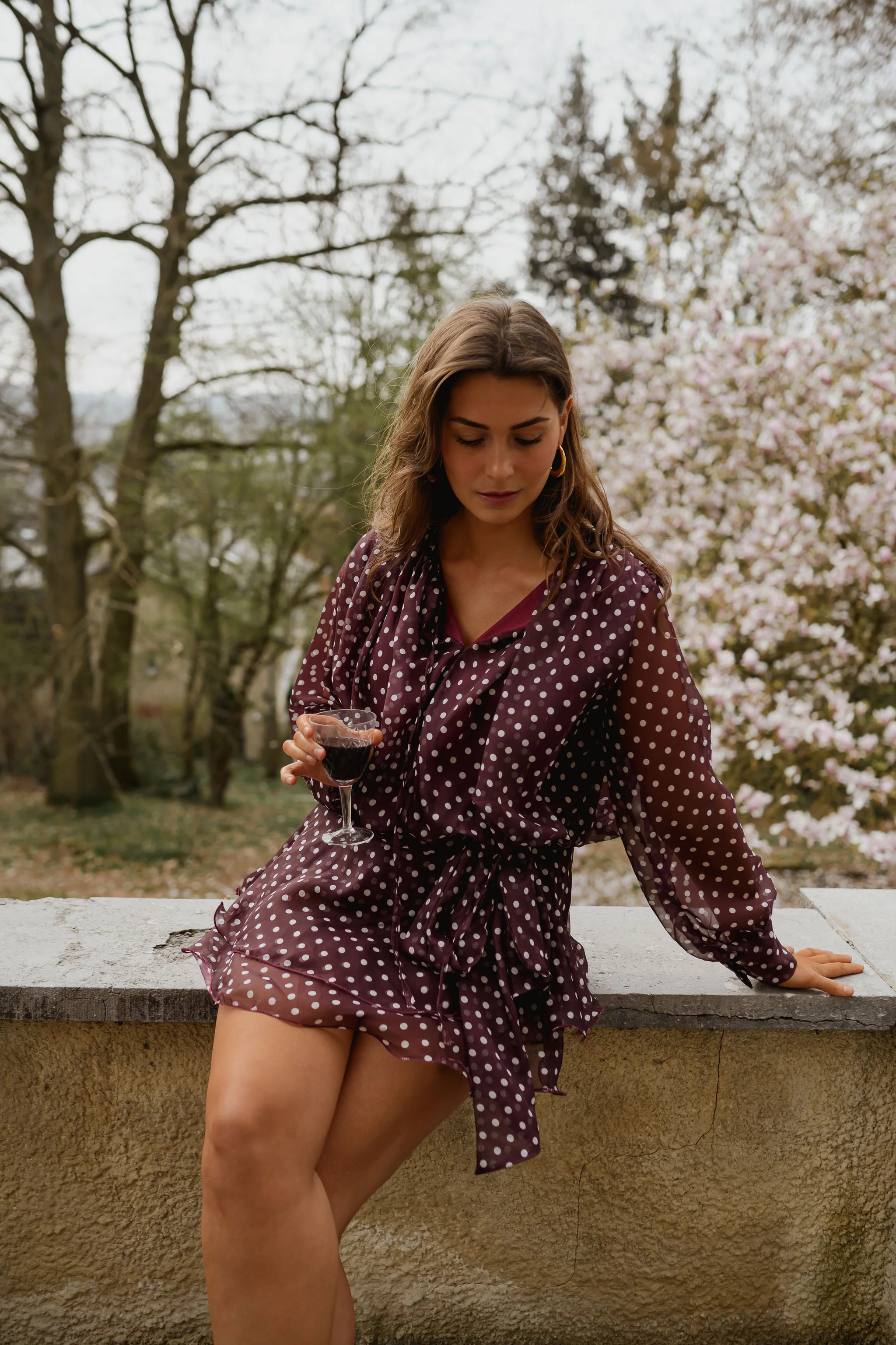 Burgundy Polka Dot Alenor Dress - Image 11