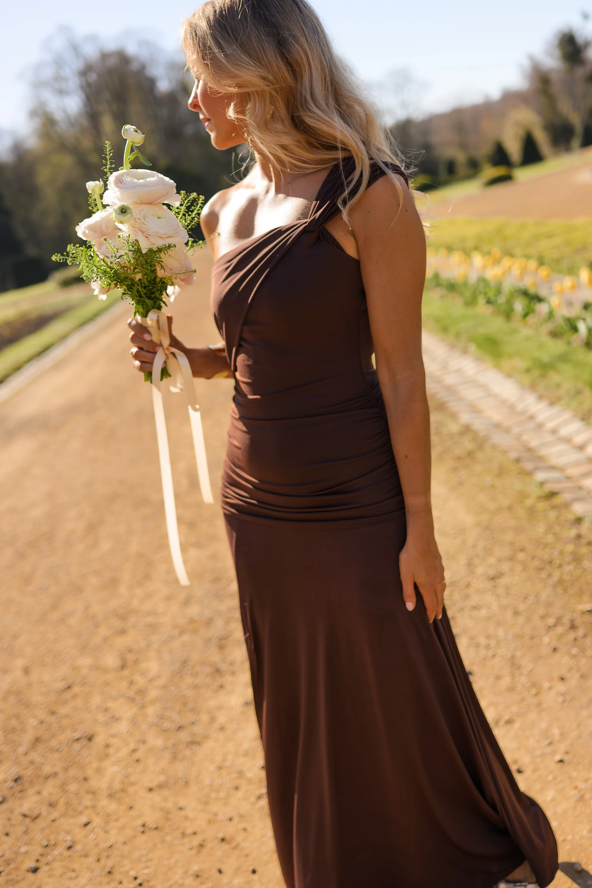 Chocolate Alanis Dress - Image 3