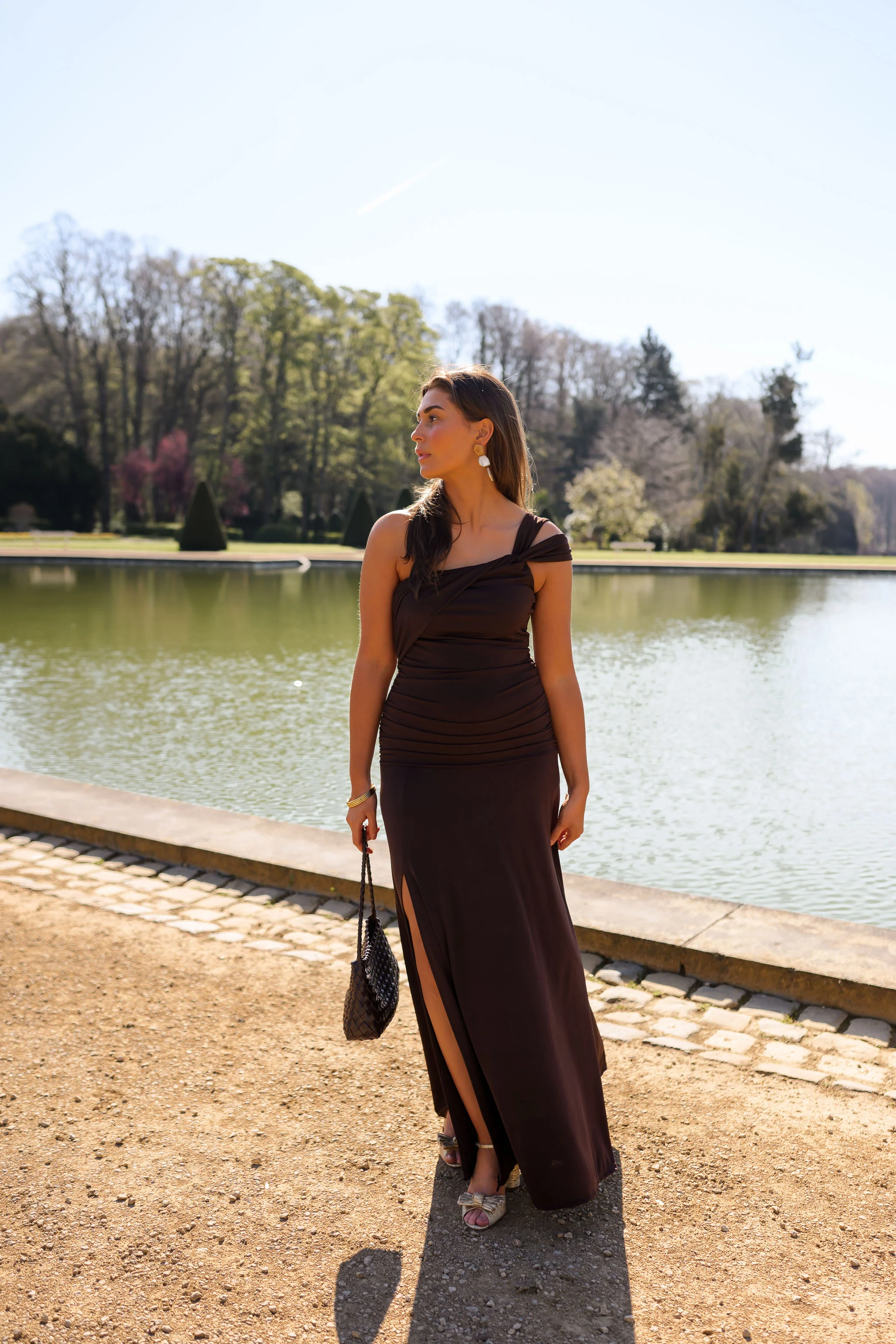 Chocolate Alanis Dress - Image 5