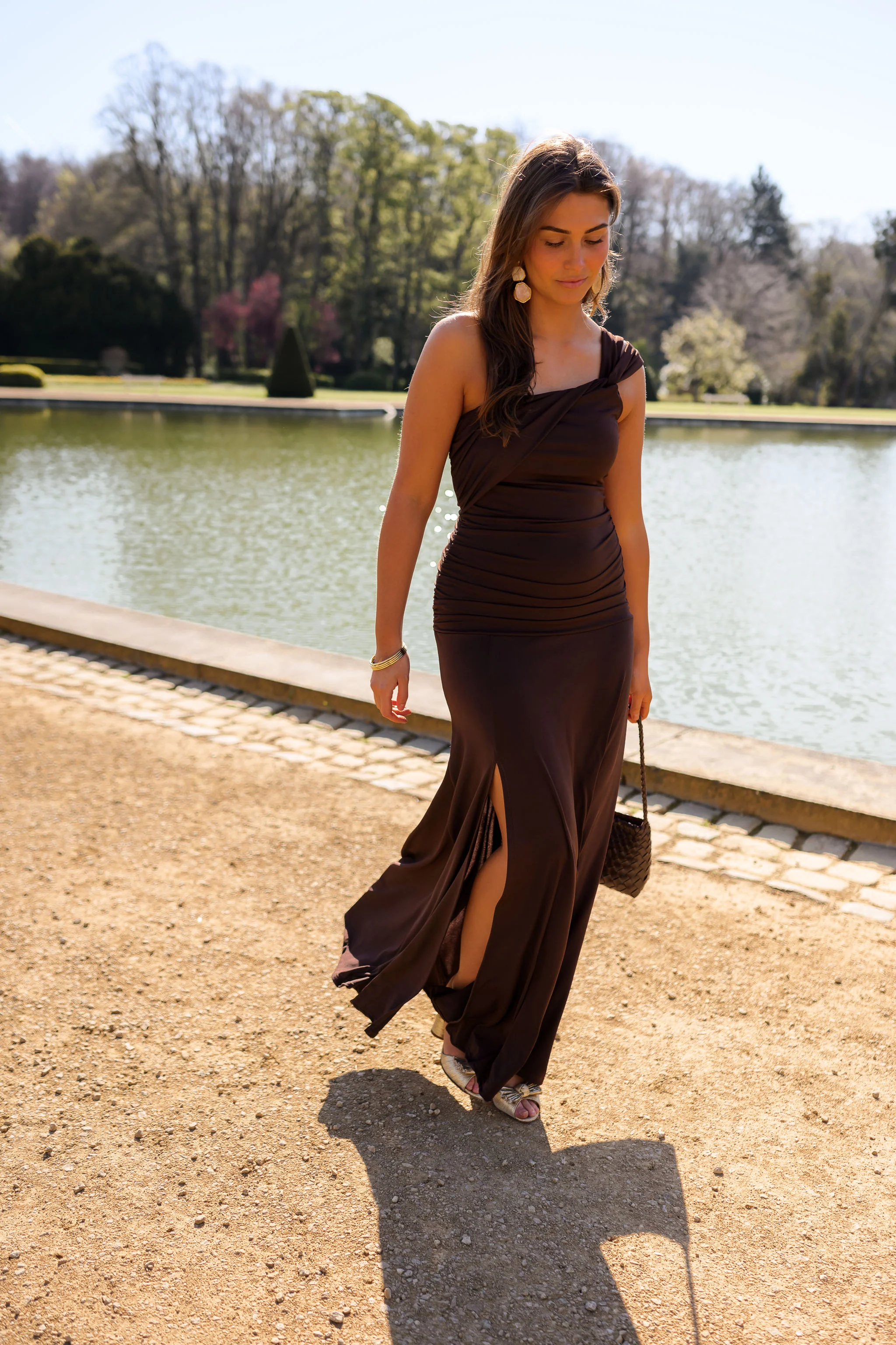 Chocolate Alanis Dress - Image 6