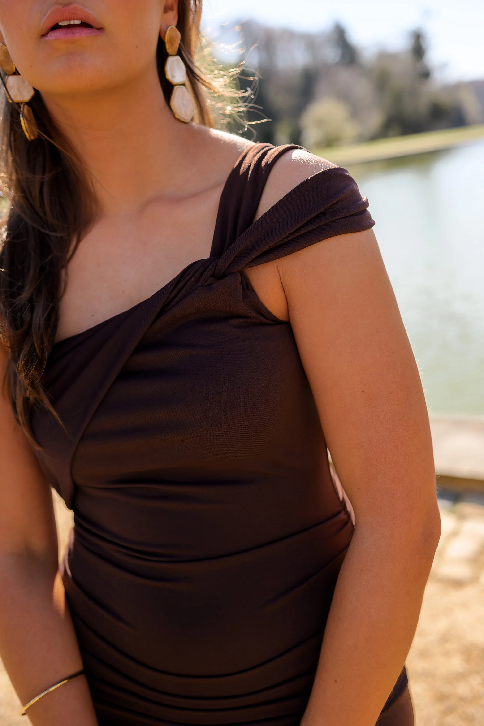 Chocolate Alanis Dress - Image 8