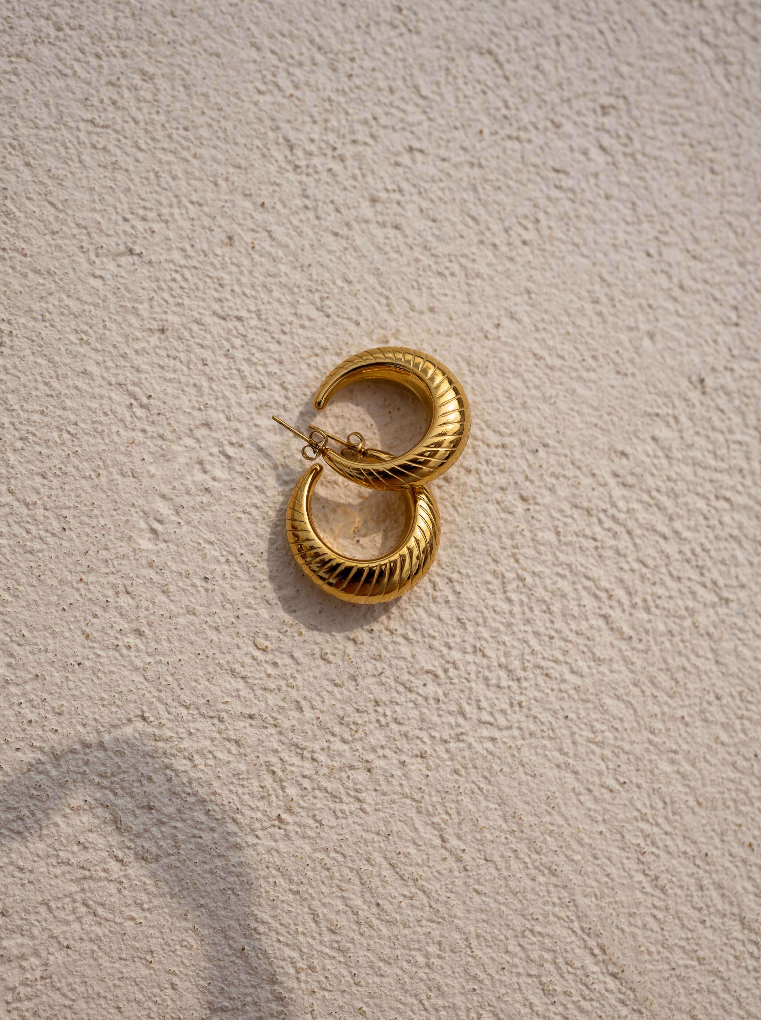 Golden Elonie Earrings - Image 4