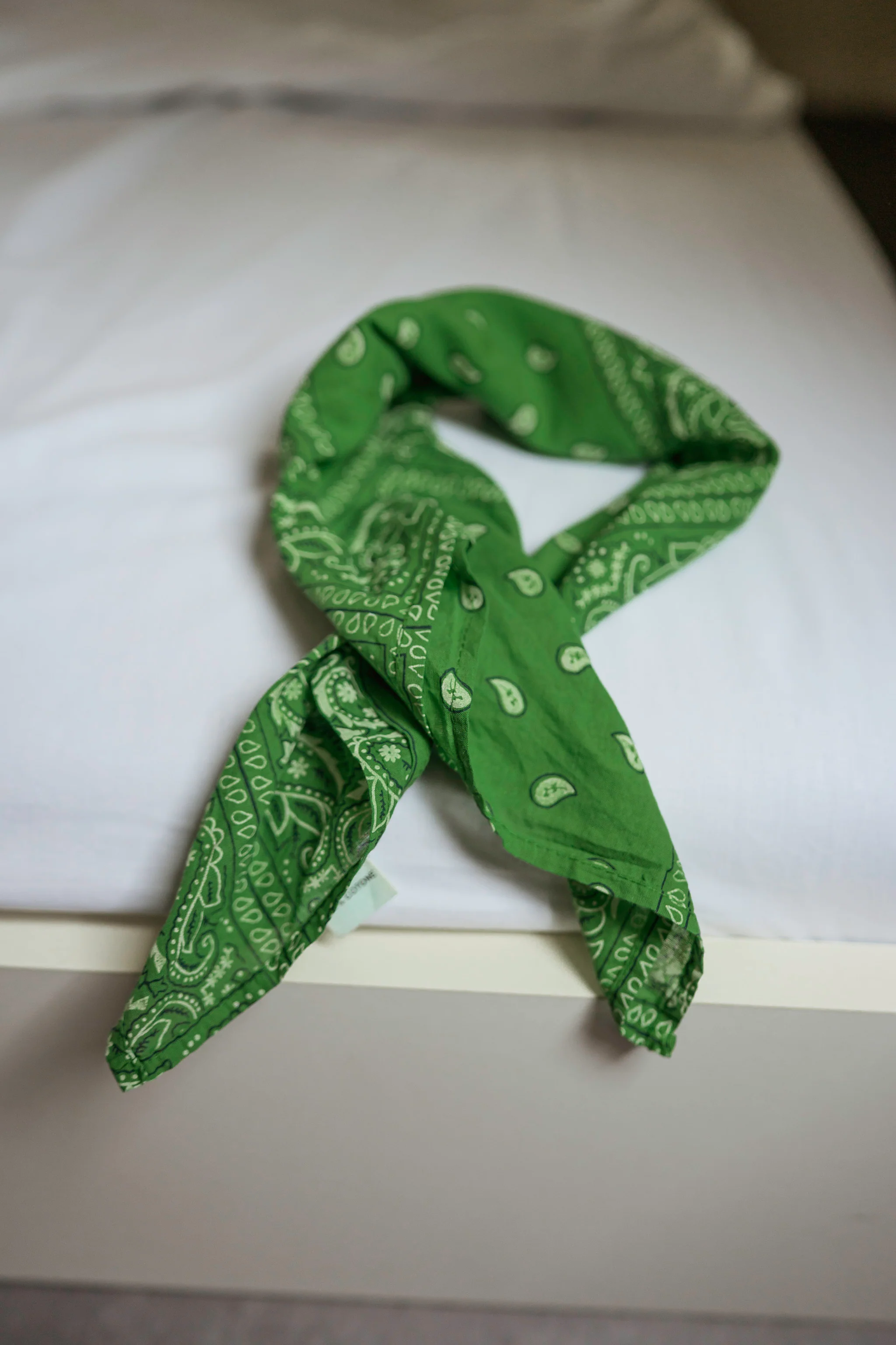 Green Bandana Denia Scarf - Image 5