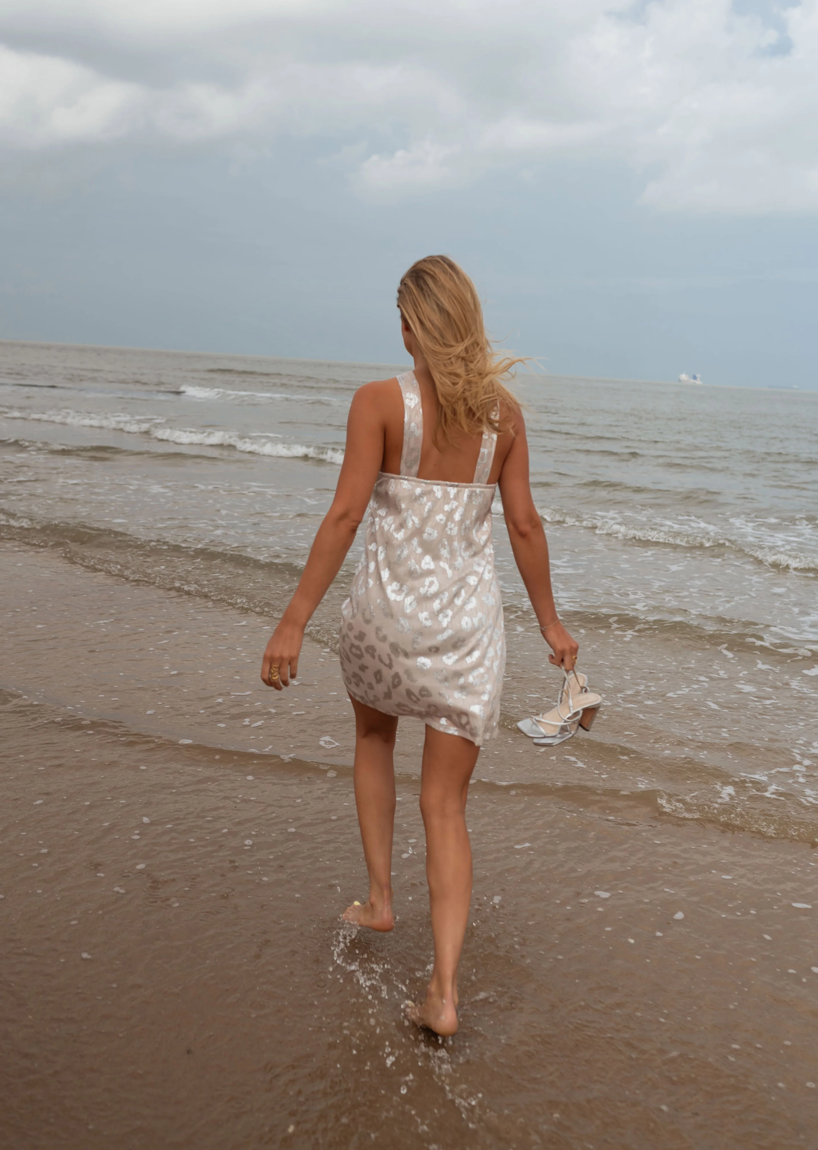 Silvery Ory Dress - Image 3