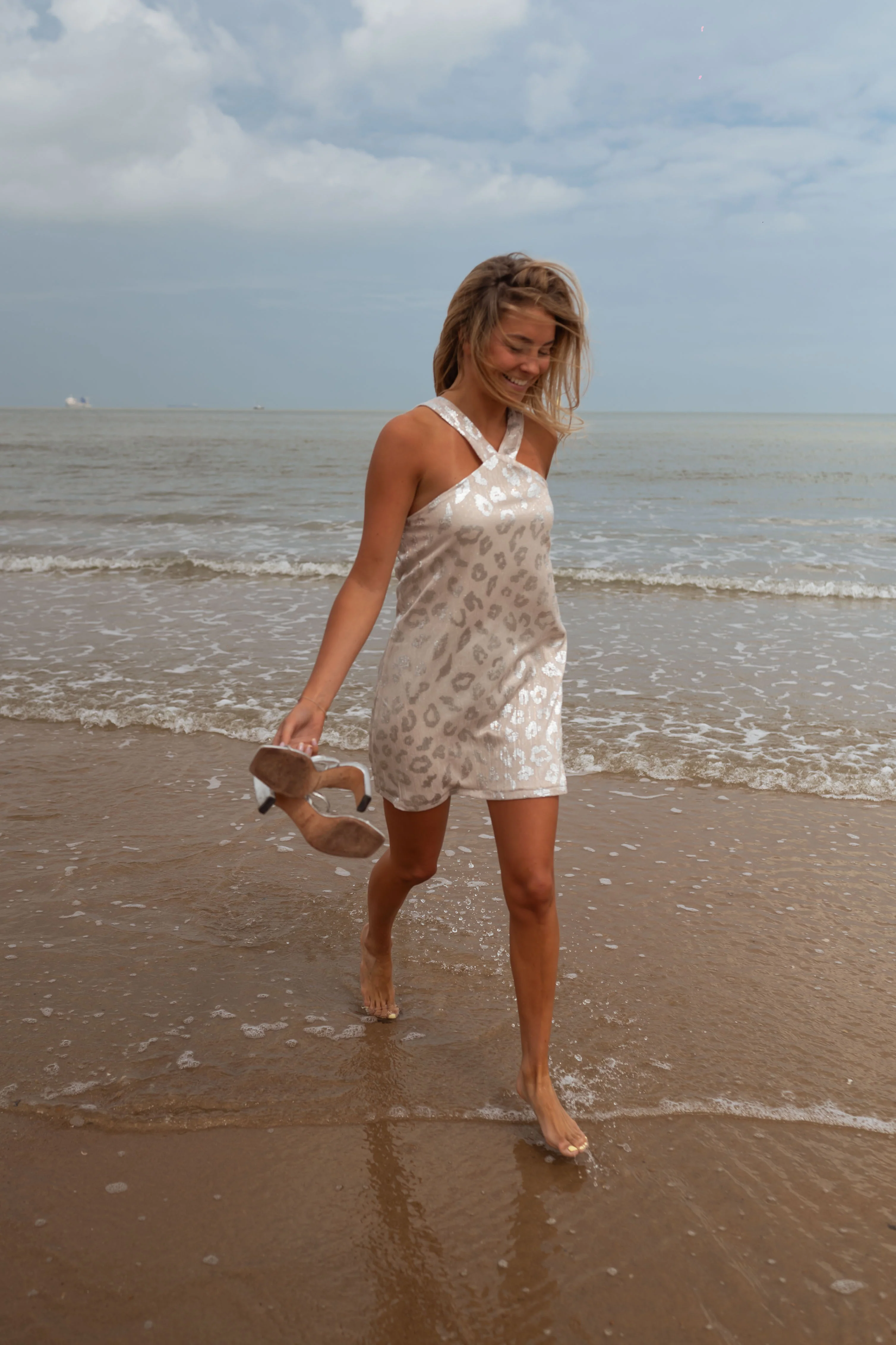 Silvery Ory Dress - Image 4